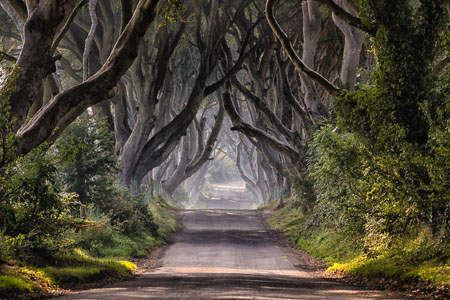 Northern Ireland trip