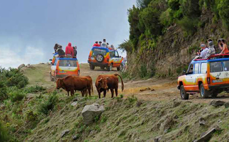 Portugal lisbon and madeira island trip