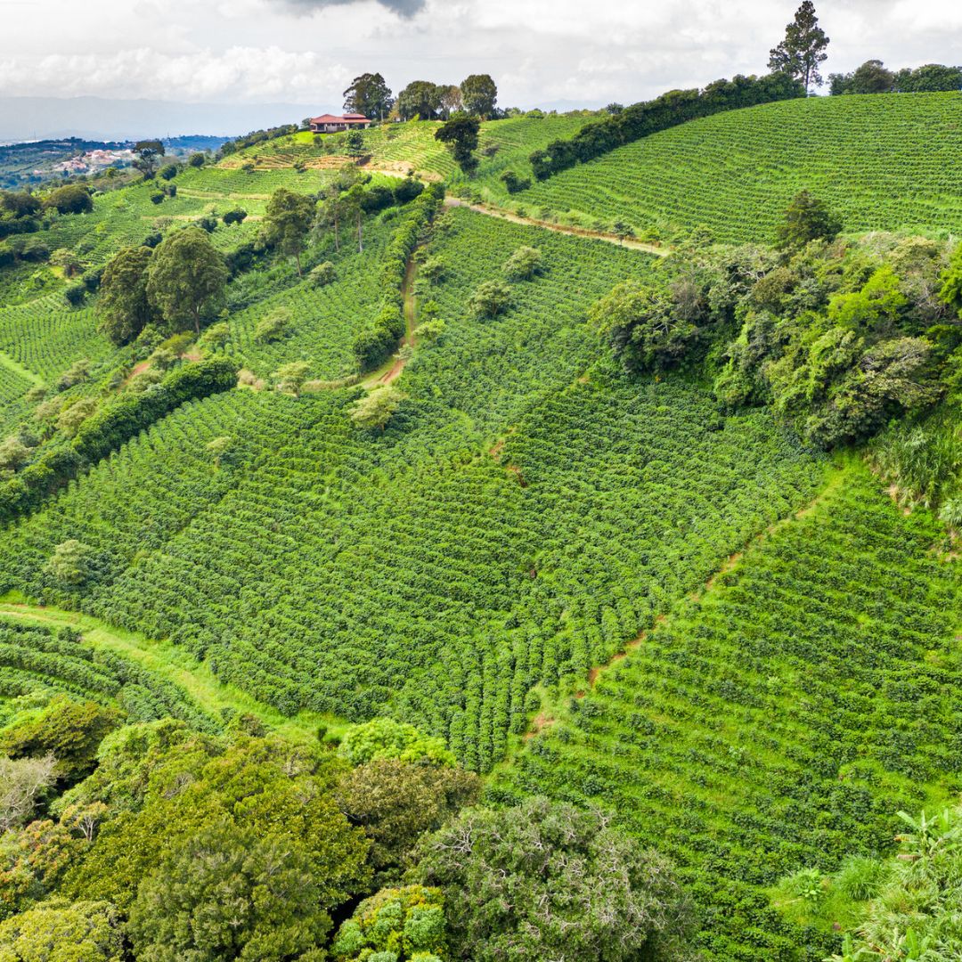 Costa Rica adventure