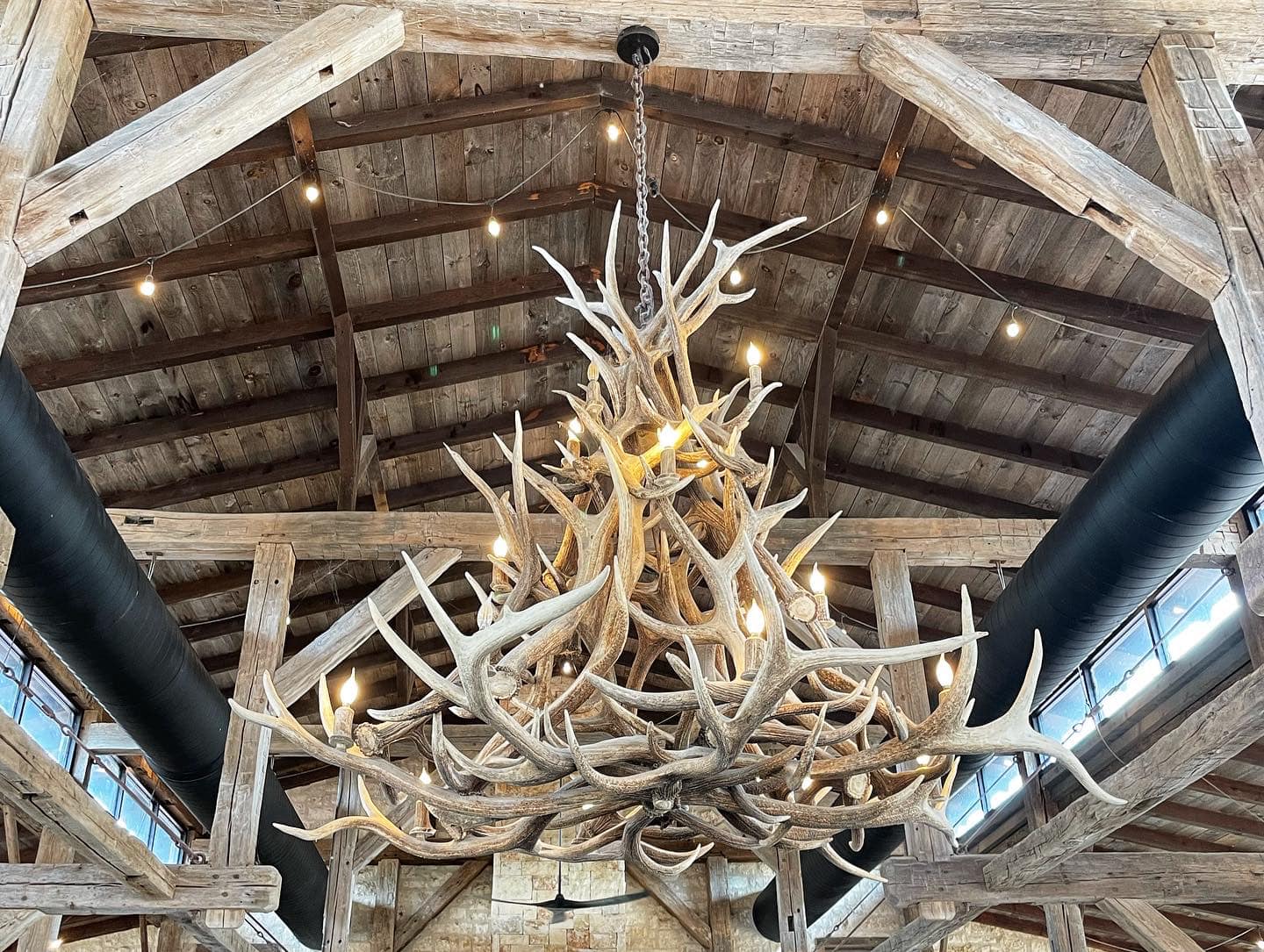 Texas Exotics Dude Ranch experience