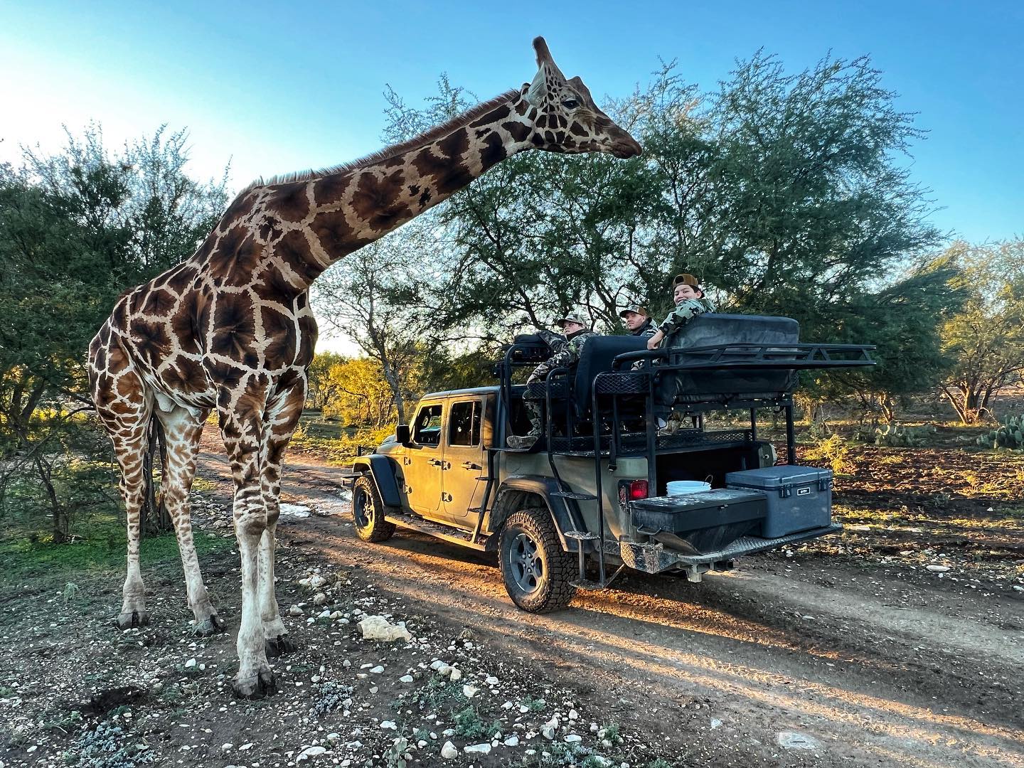 Texas Exotics Dude Ranch Experience