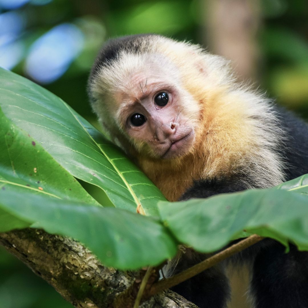 Costa Rica adventure