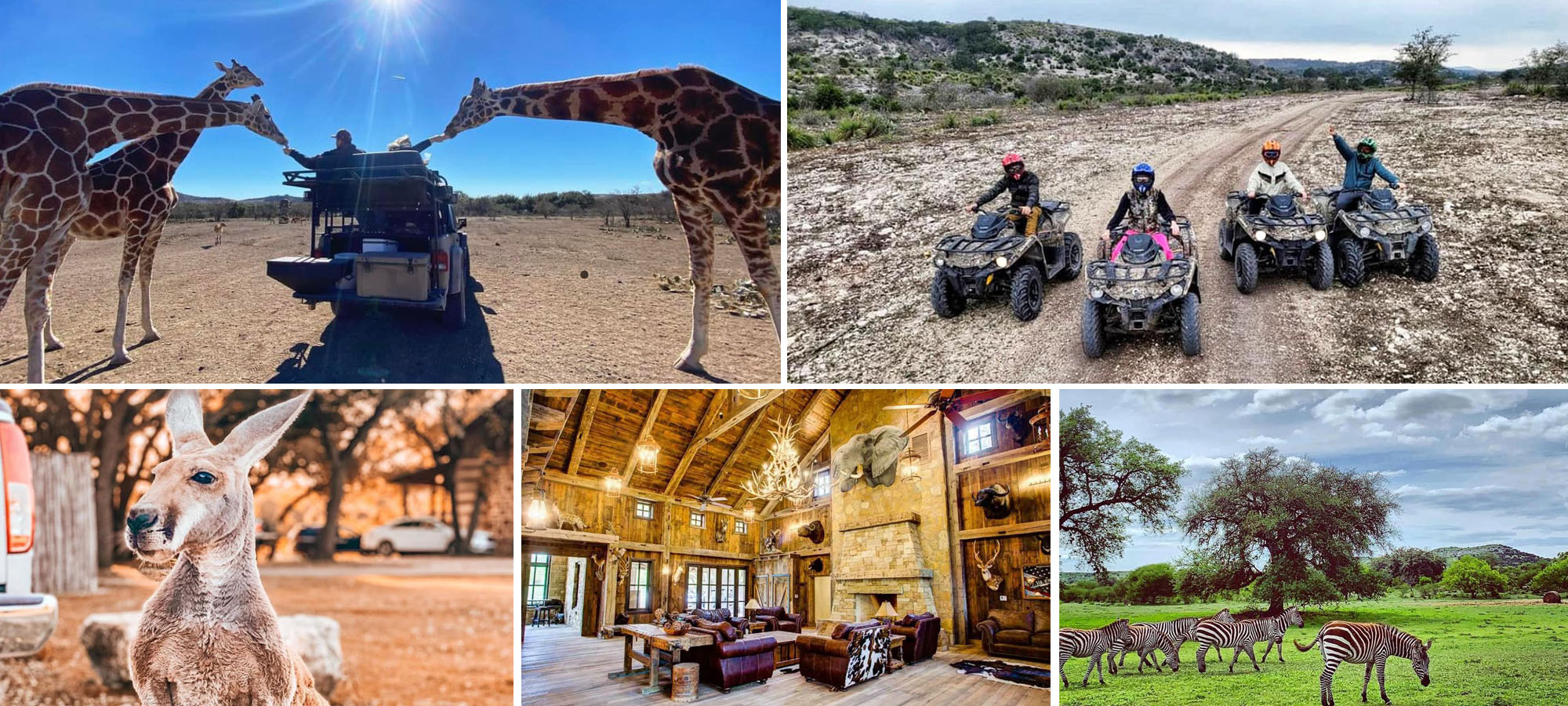 Texas Exotics Dude Ranch experience
