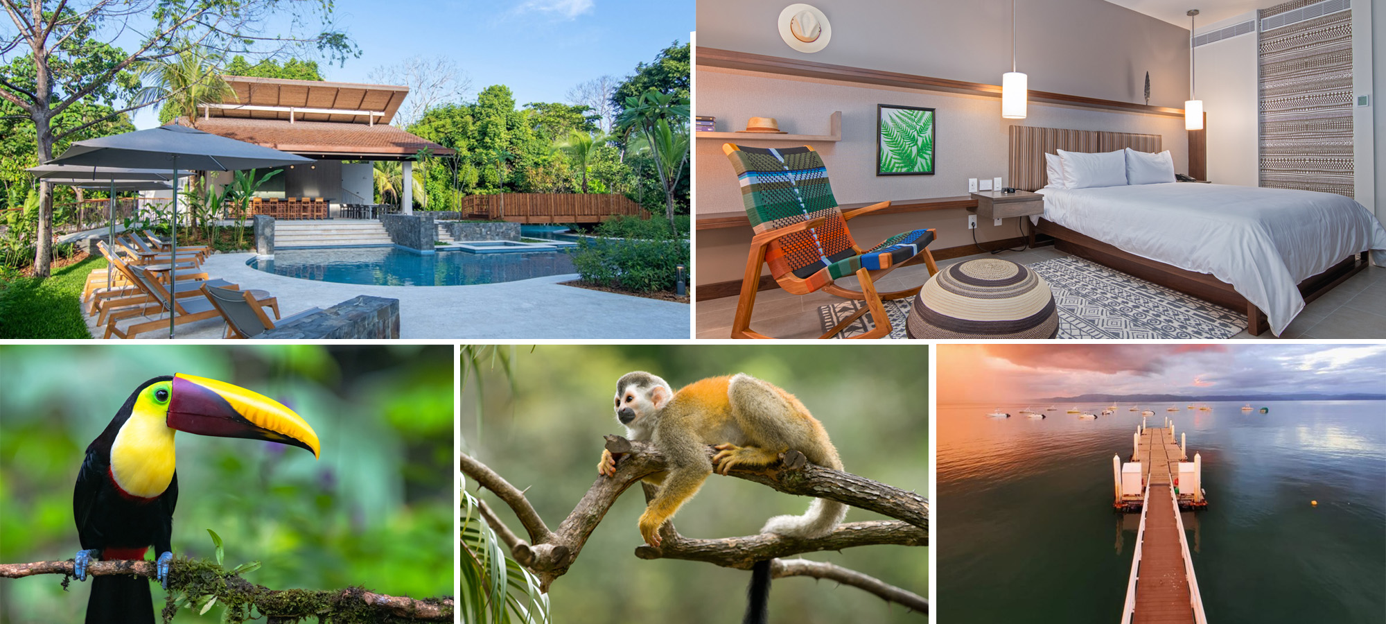 Costa Rica’s Pristine Paradise