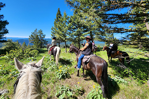 Montana Dude Ranch